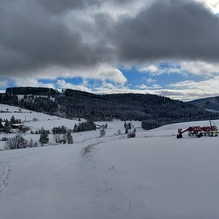 Schwarzwaldstube Lägenhet Titisee-Neustadt Exteriör bild