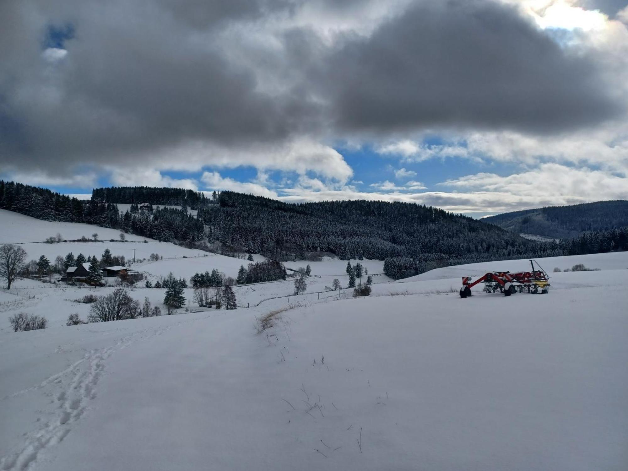Schwarzwaldstube Lägenhet Titisee-Neustadt Exteriör bild